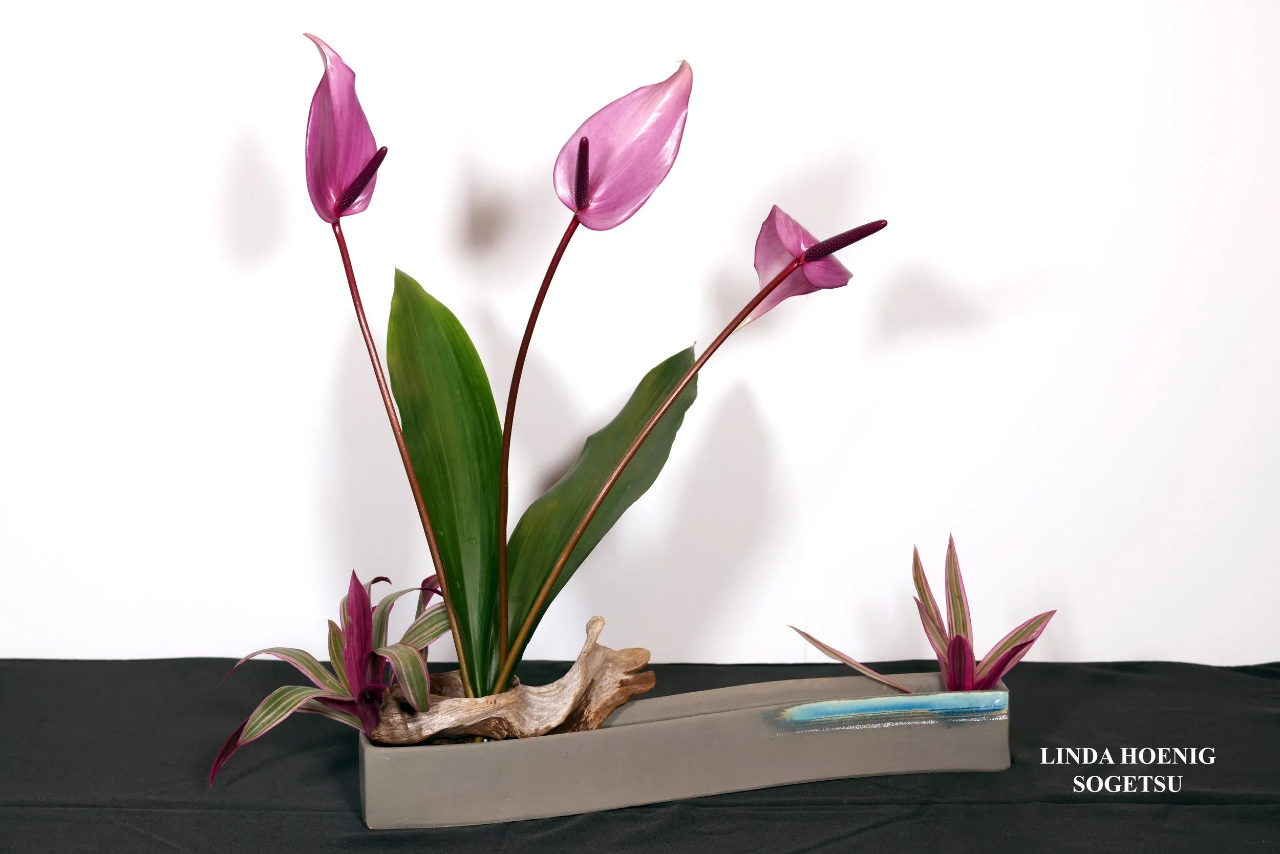 Stefania Pifferi - IKEBANA 2026 -760 copy.jpg