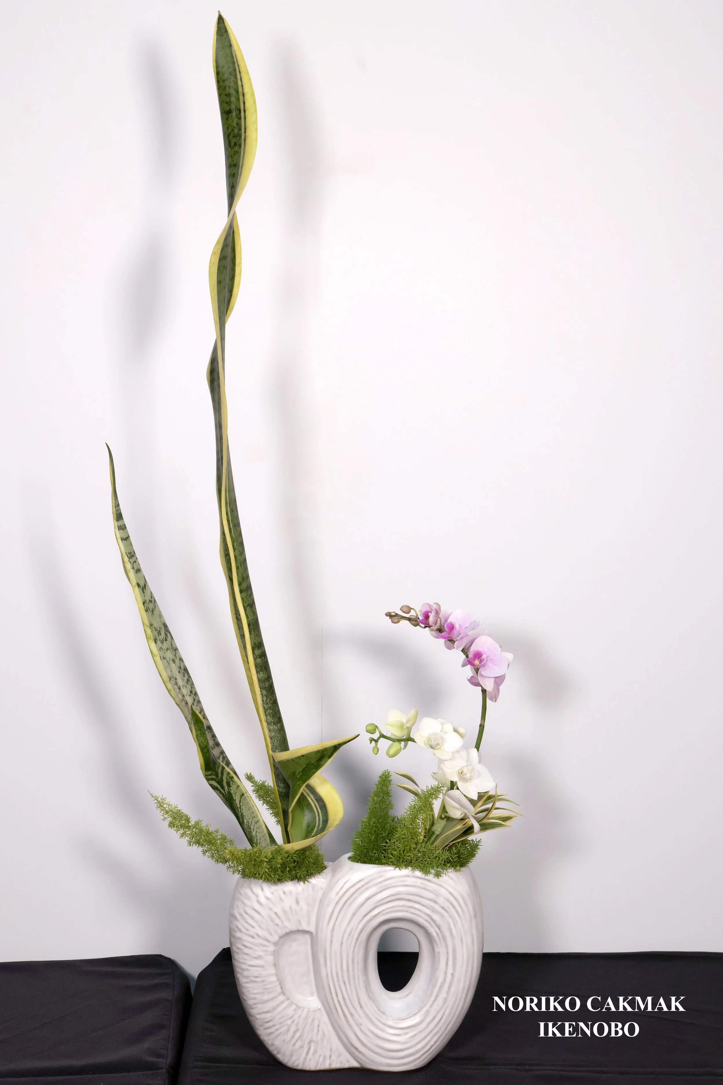 Stefania Pifferi - IKEBANA 2026 -83 copy.jpg