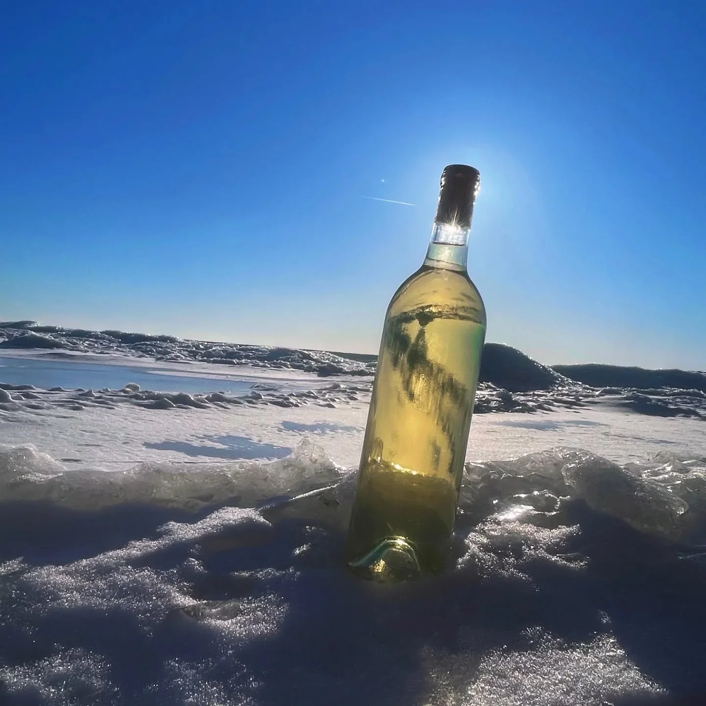 Ledge Blanc works here because the climate allows it to.
Moderated summers slow ripening. Cool nights protect aromatics. A deep winter gives the vines the rest and protection they need to start fresh each year.

The result is clarity, lift, and energ