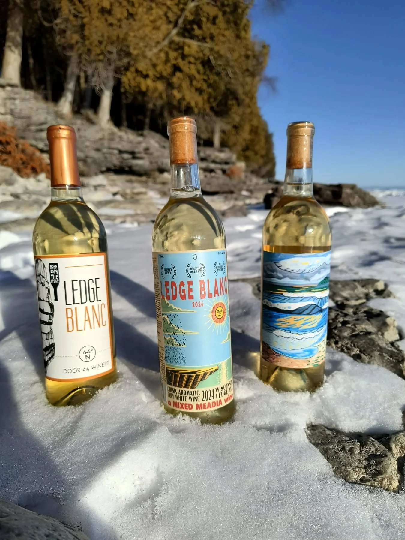 Crisp. Aromatic. Refreshing.

The Wisconsin Ledge AVA runs along the western shoreline of Lake Michigan, following the exposed limestone of the Niagara Escarpment.

This northern, cool-climate landscape was shaped by glaciers and moderated by the lak