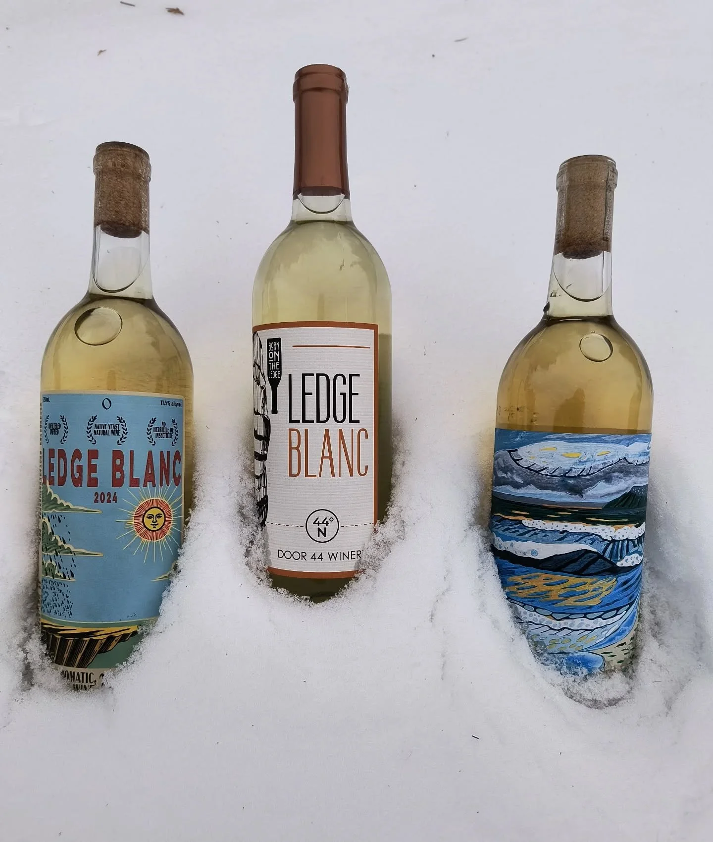 Crisp, aromatic, and endlessly versatile, that&rsquo;s Ledge Blanc. 

Winter in the Wisconsin Ledge AVA is a quiet but important season. With average snowfall in the 40&ndash;50 inch range, our vineyards rest under a steady blanket that protects the 