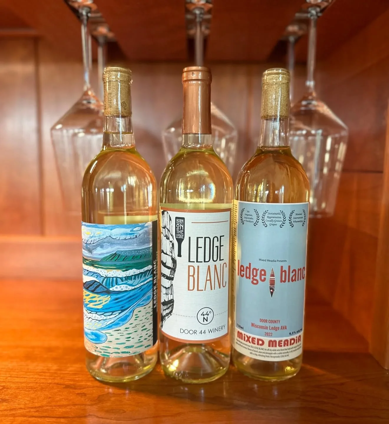 Crisp, aromatic whites are an underrated but absolutely incredible pairing for Thanksgiving.
They&rsquo;re one of the few wine styles that can handle the entire plate:

&bull; Turkey &ndash; bright acidity cuts through the richness and keeps every bi