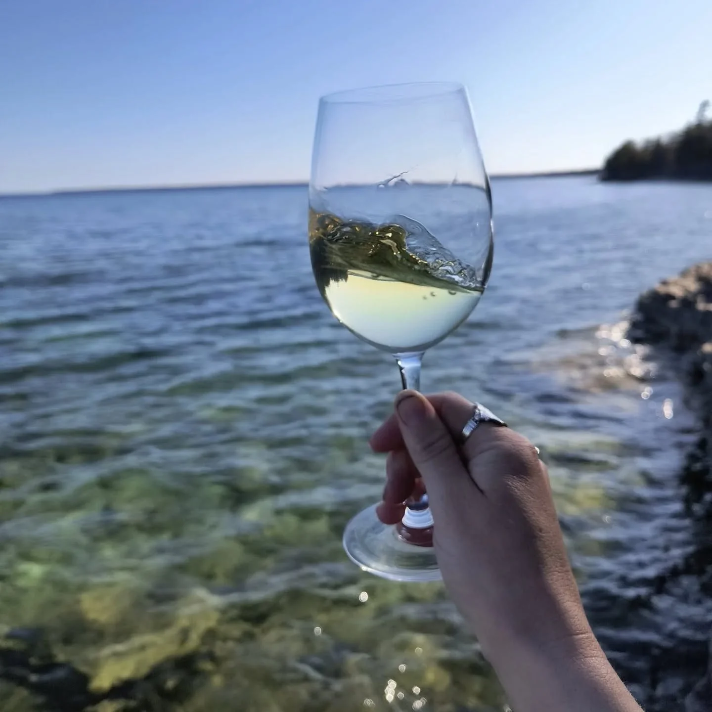 While each Ledge Blanc is independently crafted by participating wineries, they all must meet stylistic guidelines, quality standards, and pass strict third-party blind tasting panels to bear the name. This ensures that every bottle of Ledge Blanc yo