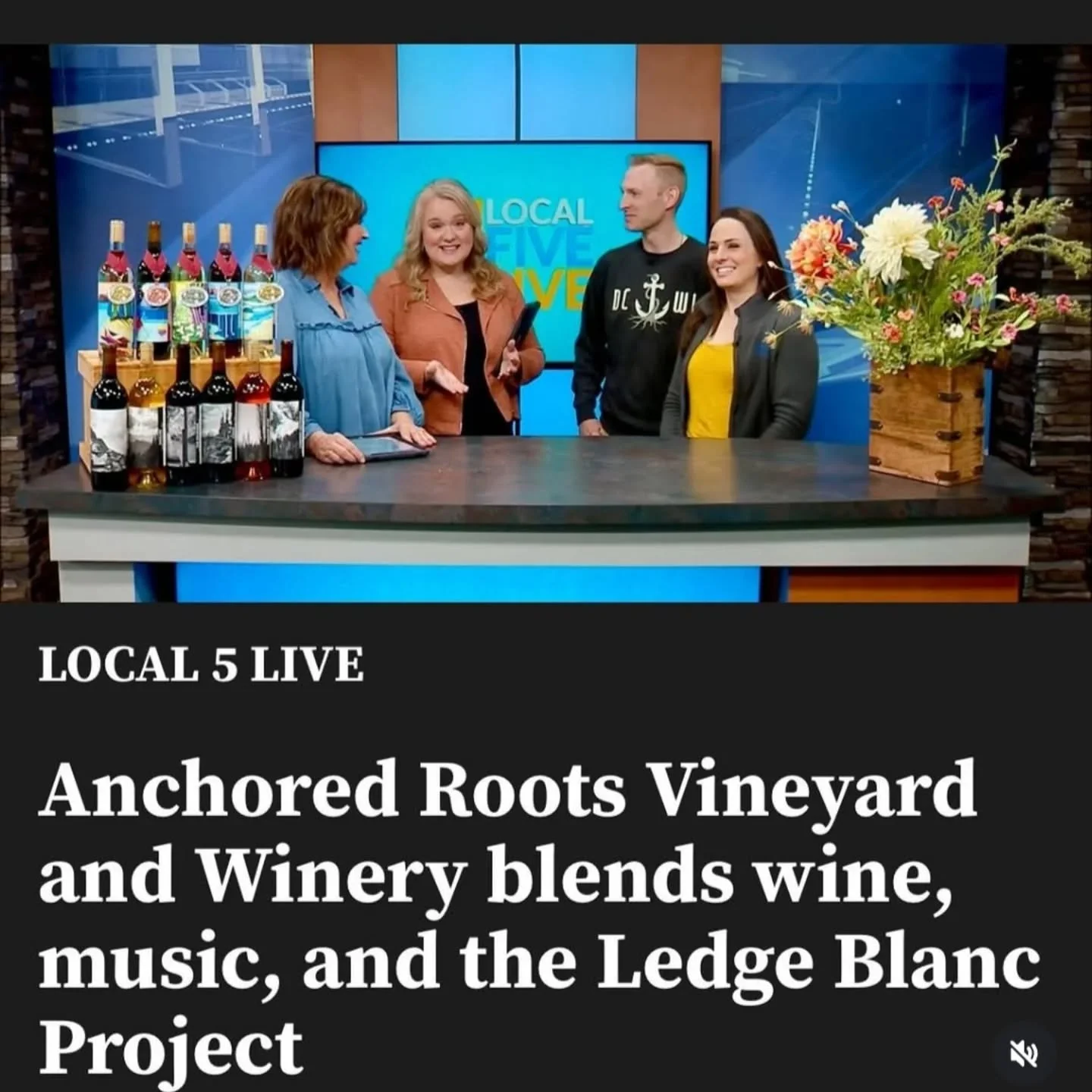 Anchored Roots was featured on Channel 5 highlighting their incredible wines and their stunning winery and vineyard. Ledge Blanc is really starting to take off!

Link in the bio to watch

@anchoredrootswine 

#ledgeblanc #WisconsinLedgeAVA #wine