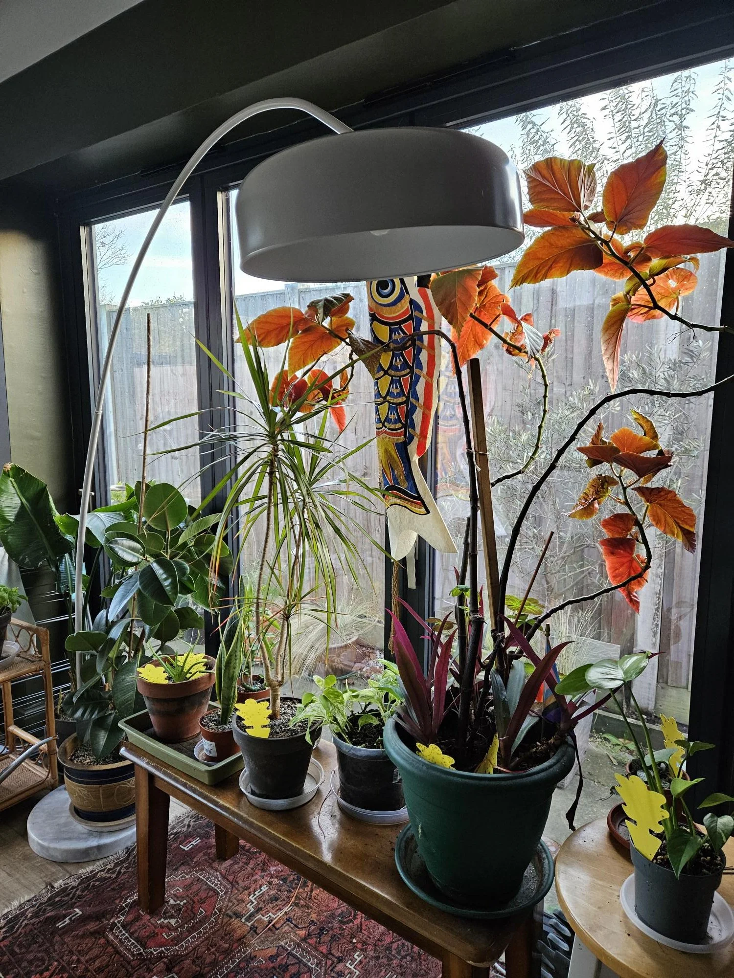 Floor lamp in kitchen 1.jpg
