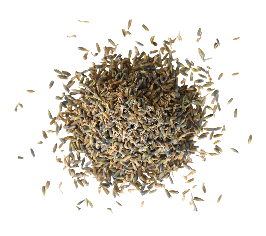 Organic Lavender