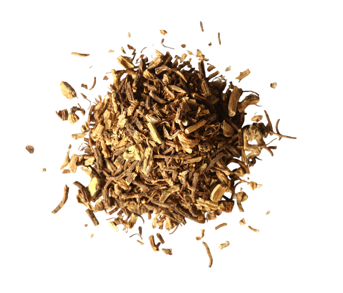 Organic Angelica Root