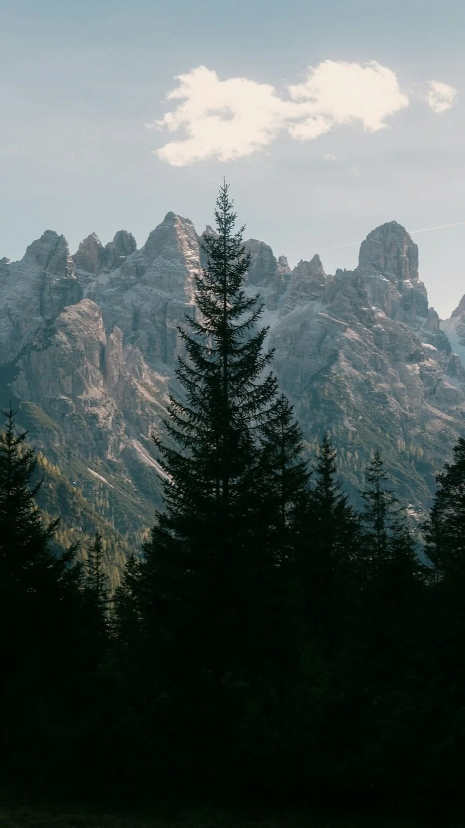 A silhouette of tall pine trees in the foreground with a mountain range and a partly cloudy sky in the background.