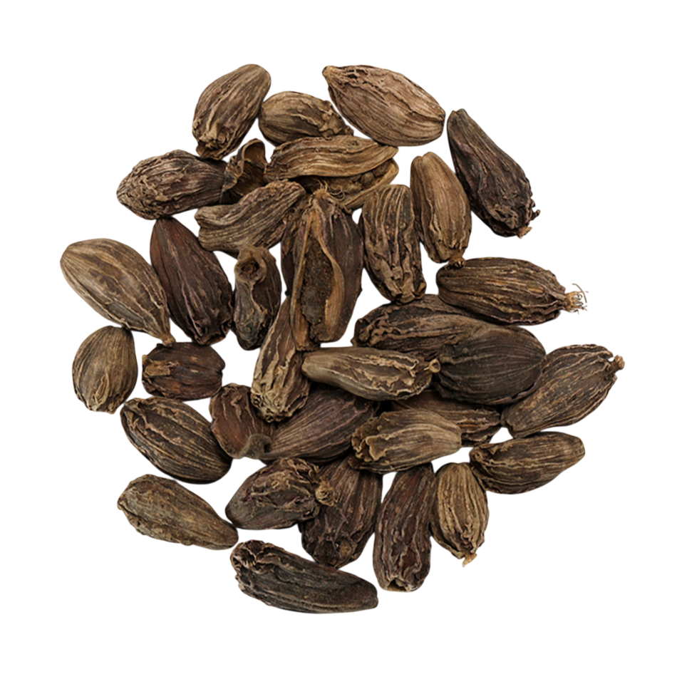 Organic Black Cardamom Pods