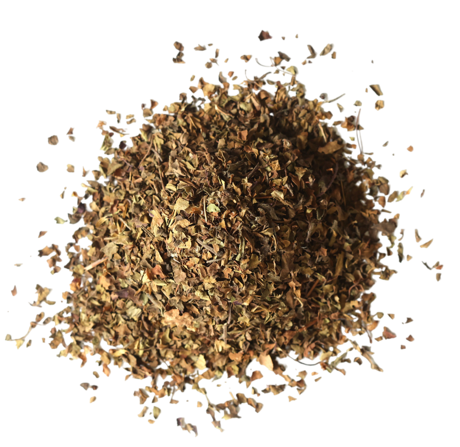 Organic Holy Basil