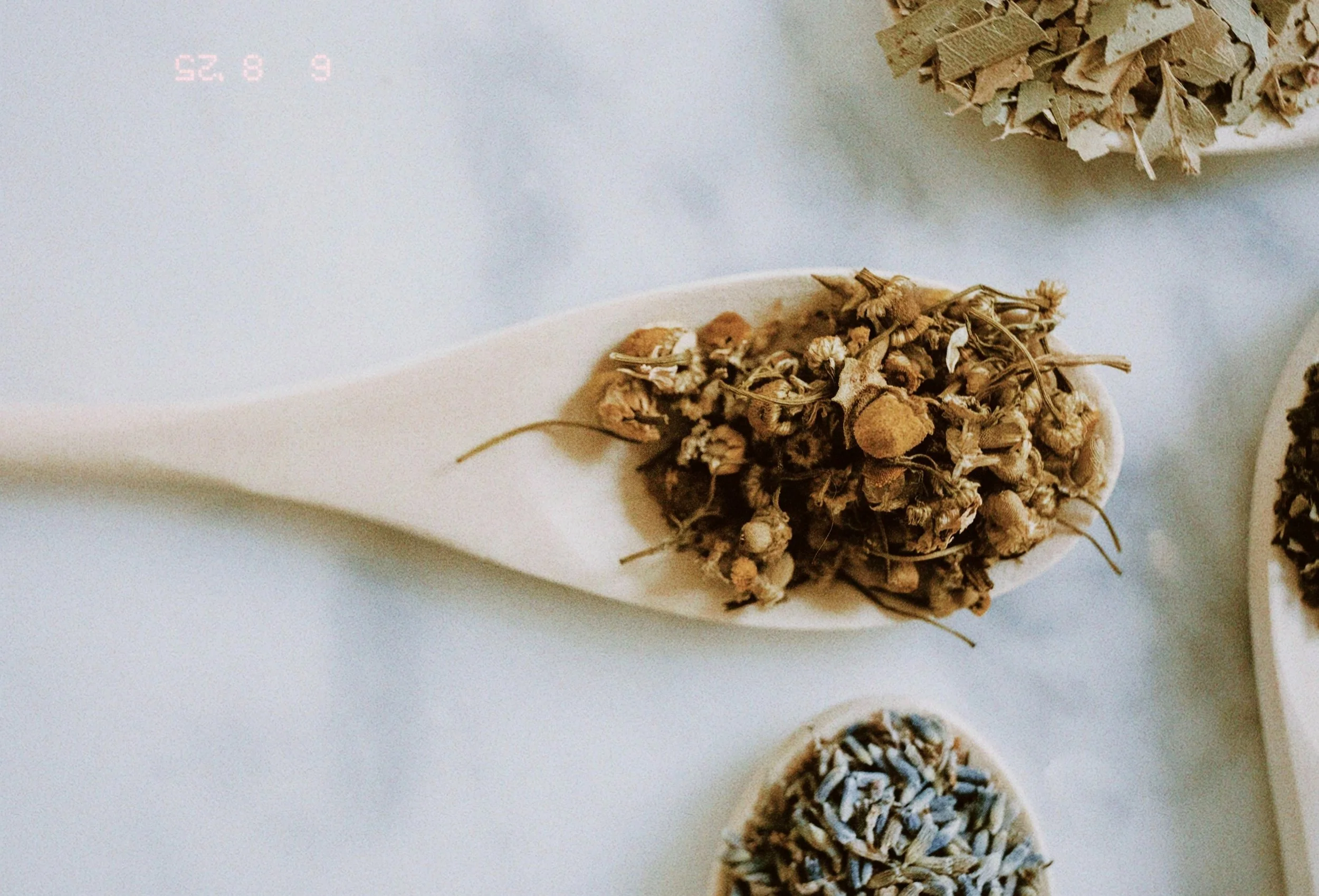 Dried herbs or flowers on a white ceramic spoon on a light surface, with other dried herbs in small dishes nearby.