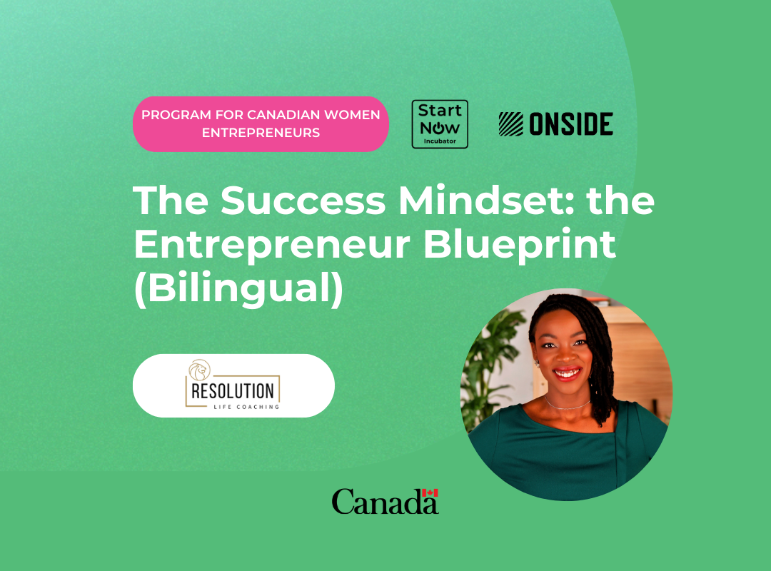 The Success Mindset: the Entrepreneur Blueprint (Program)