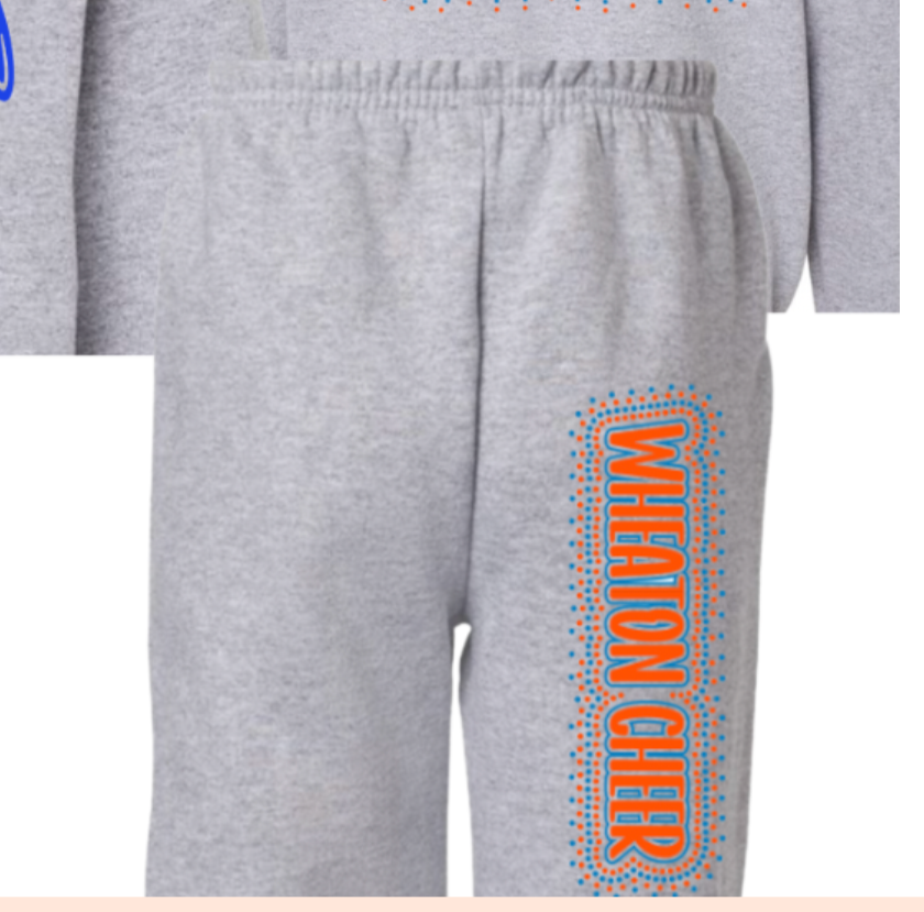 GREY VERSION WCA Rhinestone Sweatpants