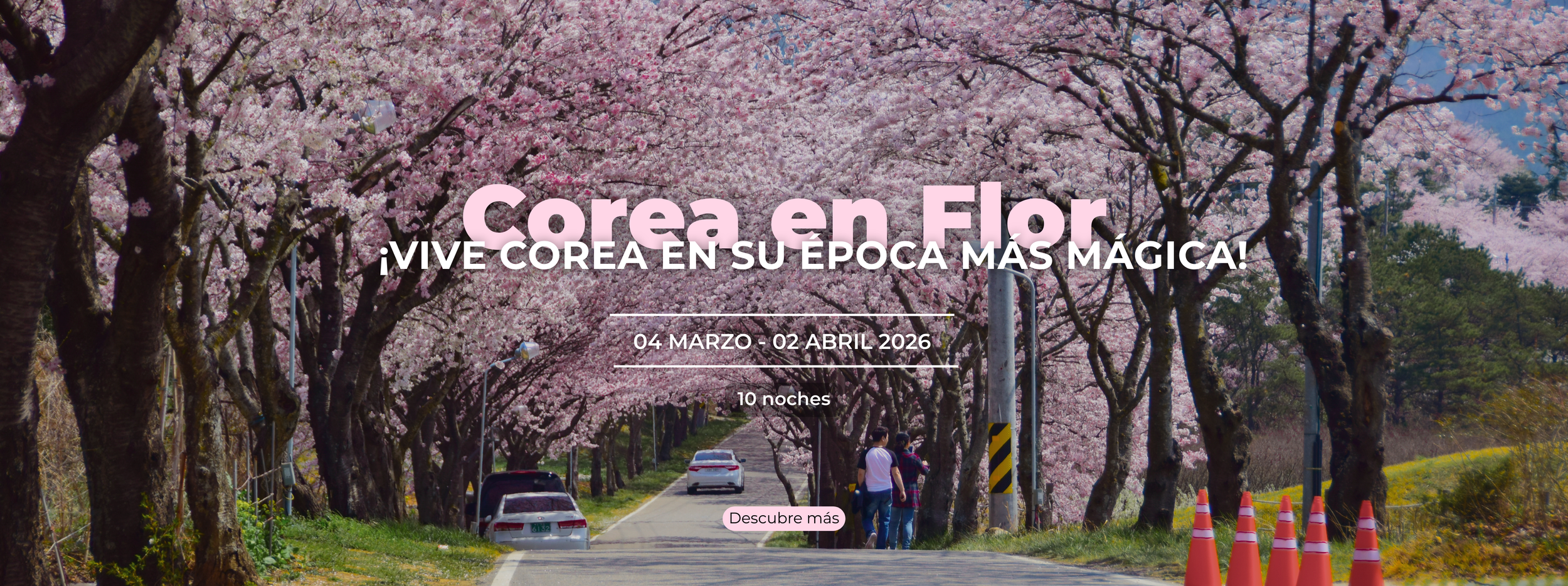 Copy of Freelance Creative Portfolio Website in Refined Grit Style.png