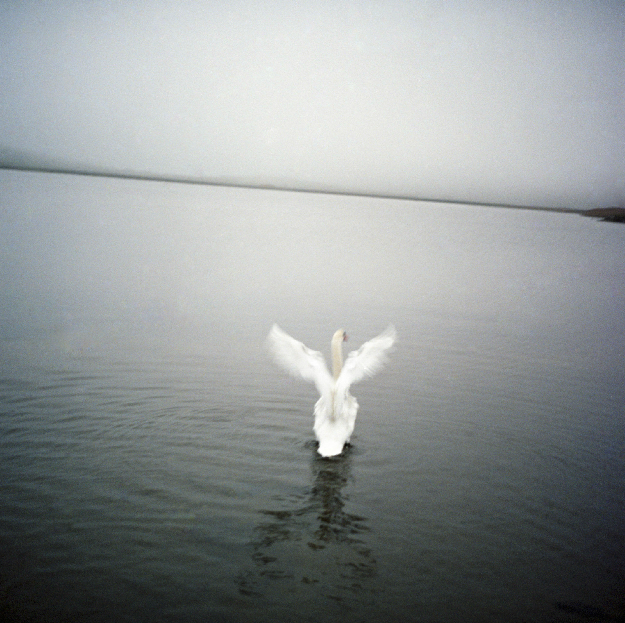 Screenshot 2026-02-09 at 4.47.31 PM.png