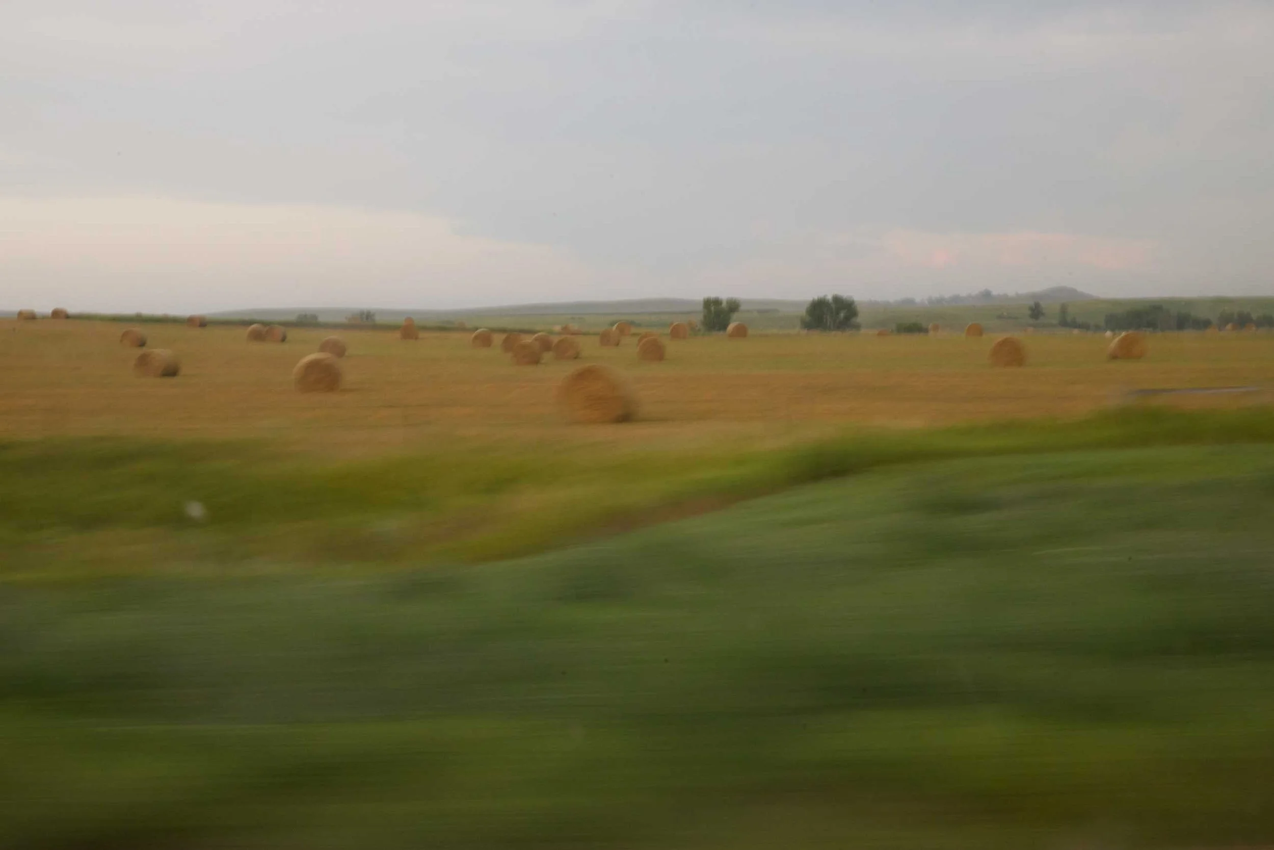 080725_WF_SouthDakota_0031.jpg