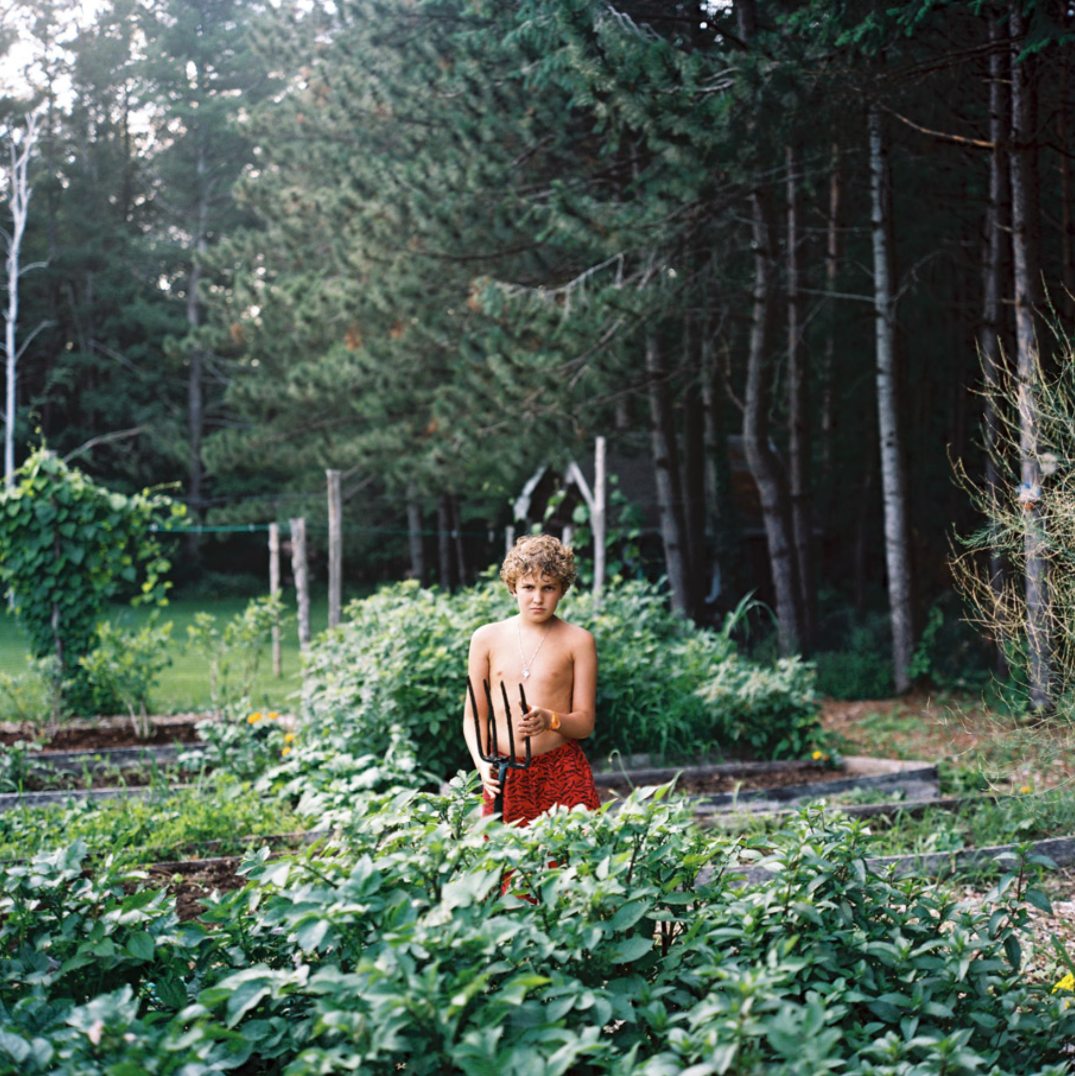 Screenshot 2026-02-10 at 4.39.55 PM.png