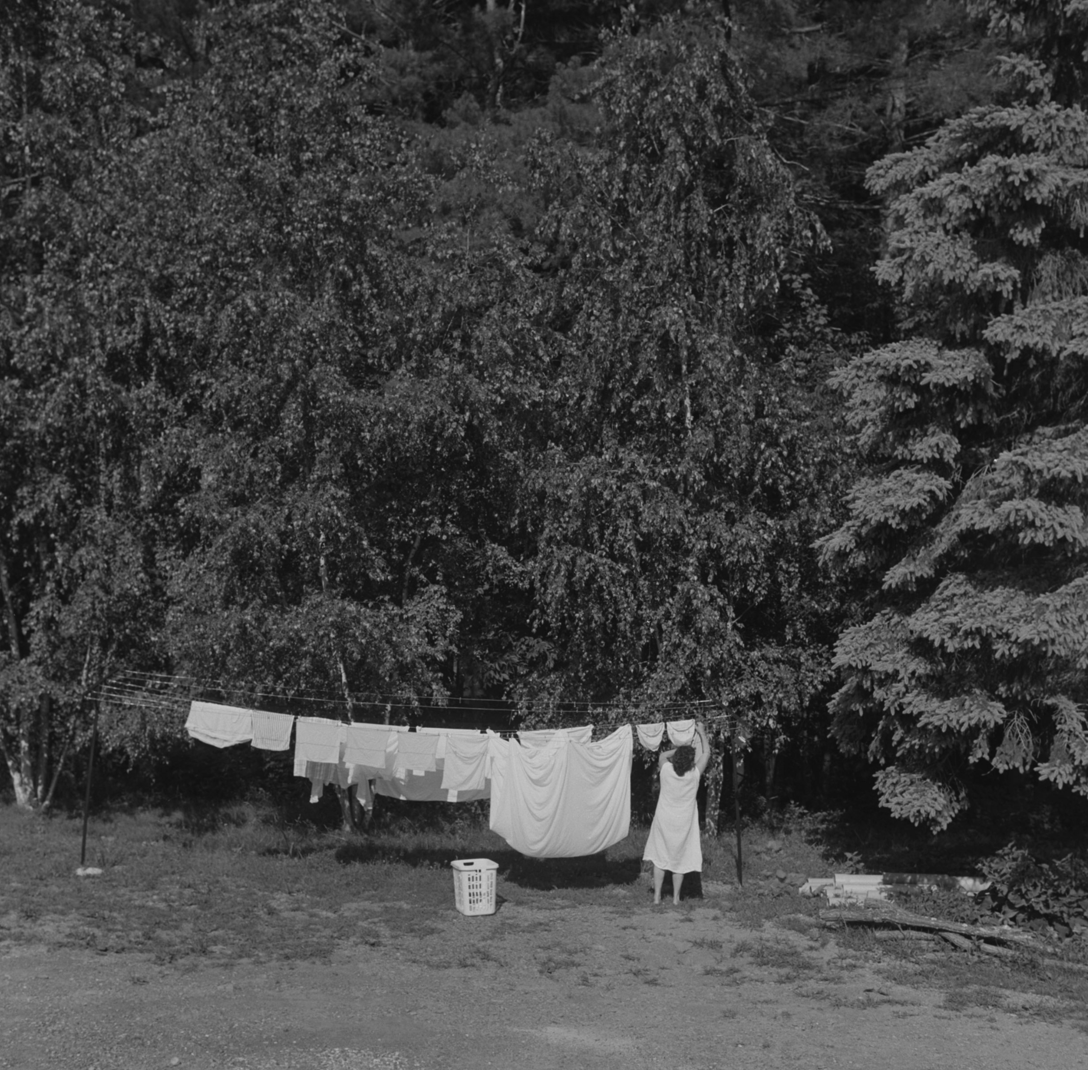 Screenshot 2026-02-09 at 4.31.29 PM.png