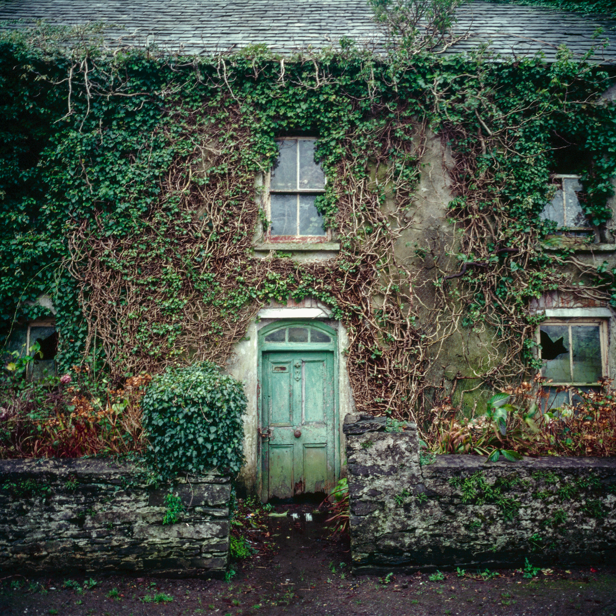 Screenshot 2026-02-09 at 5.25.44 PM.png