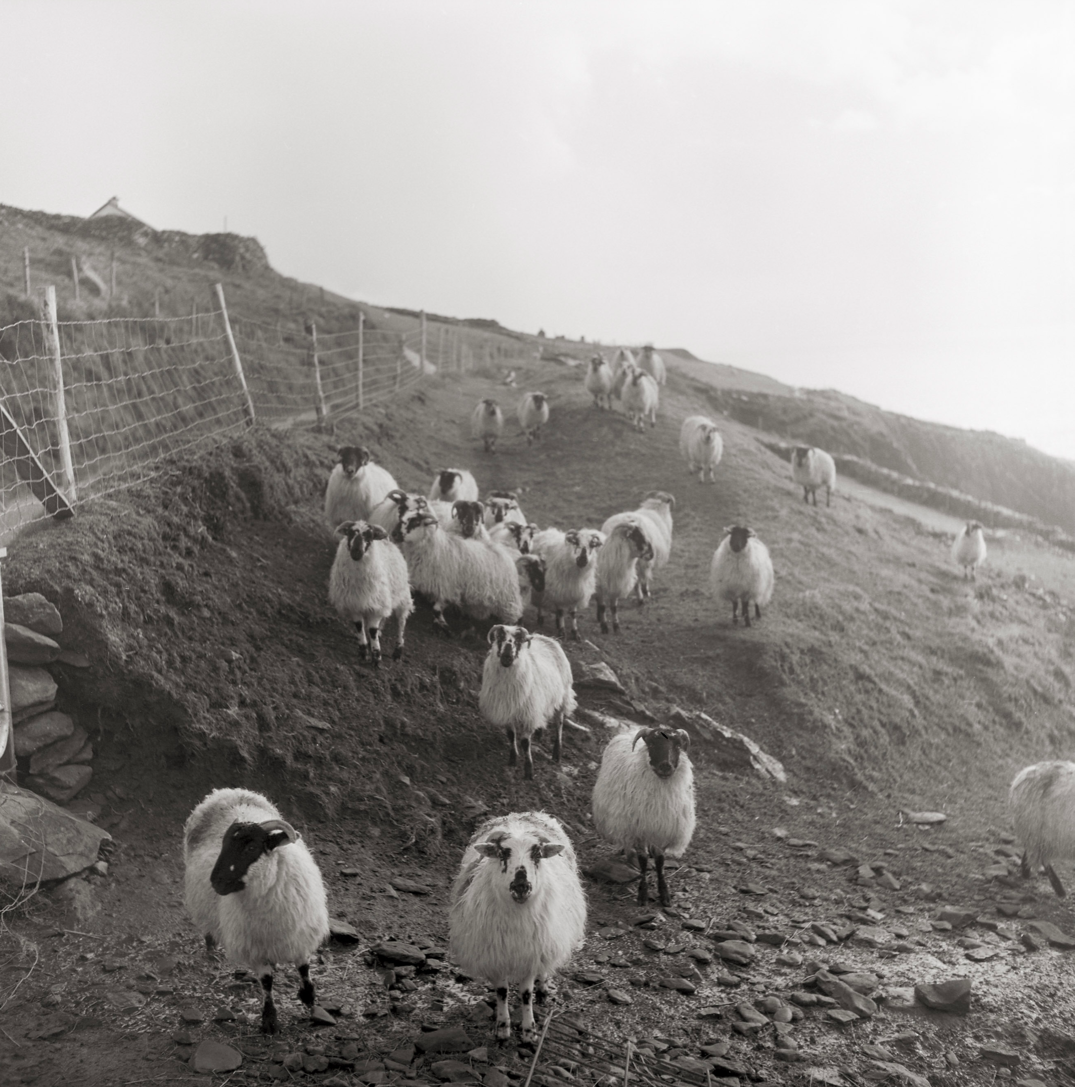 Screenshot 2026-02-09 at 5.26.36 PM.png