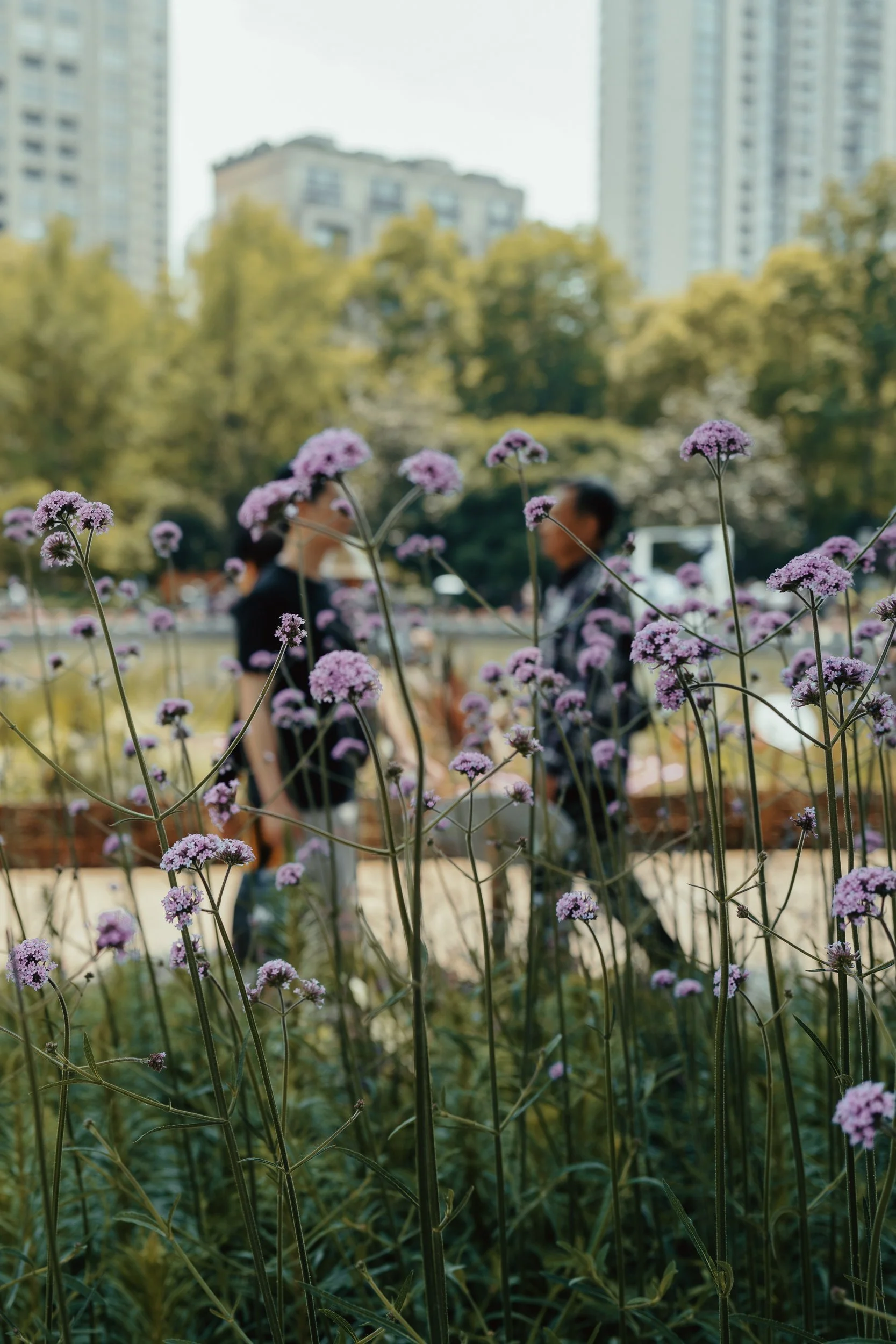 Connal-McClure-Street-Photography-00-17.jpg