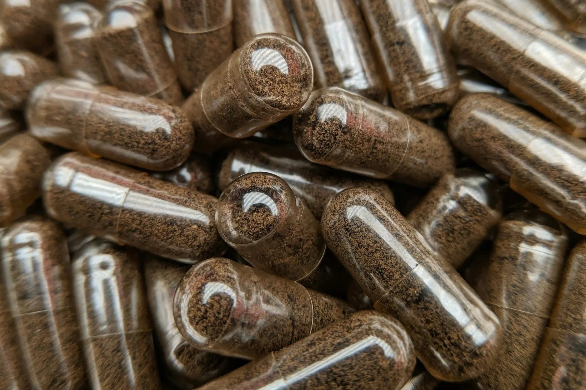 Best Lion's Mane and Nootropic Supplements in 2026: 8 Transparency-First Picks