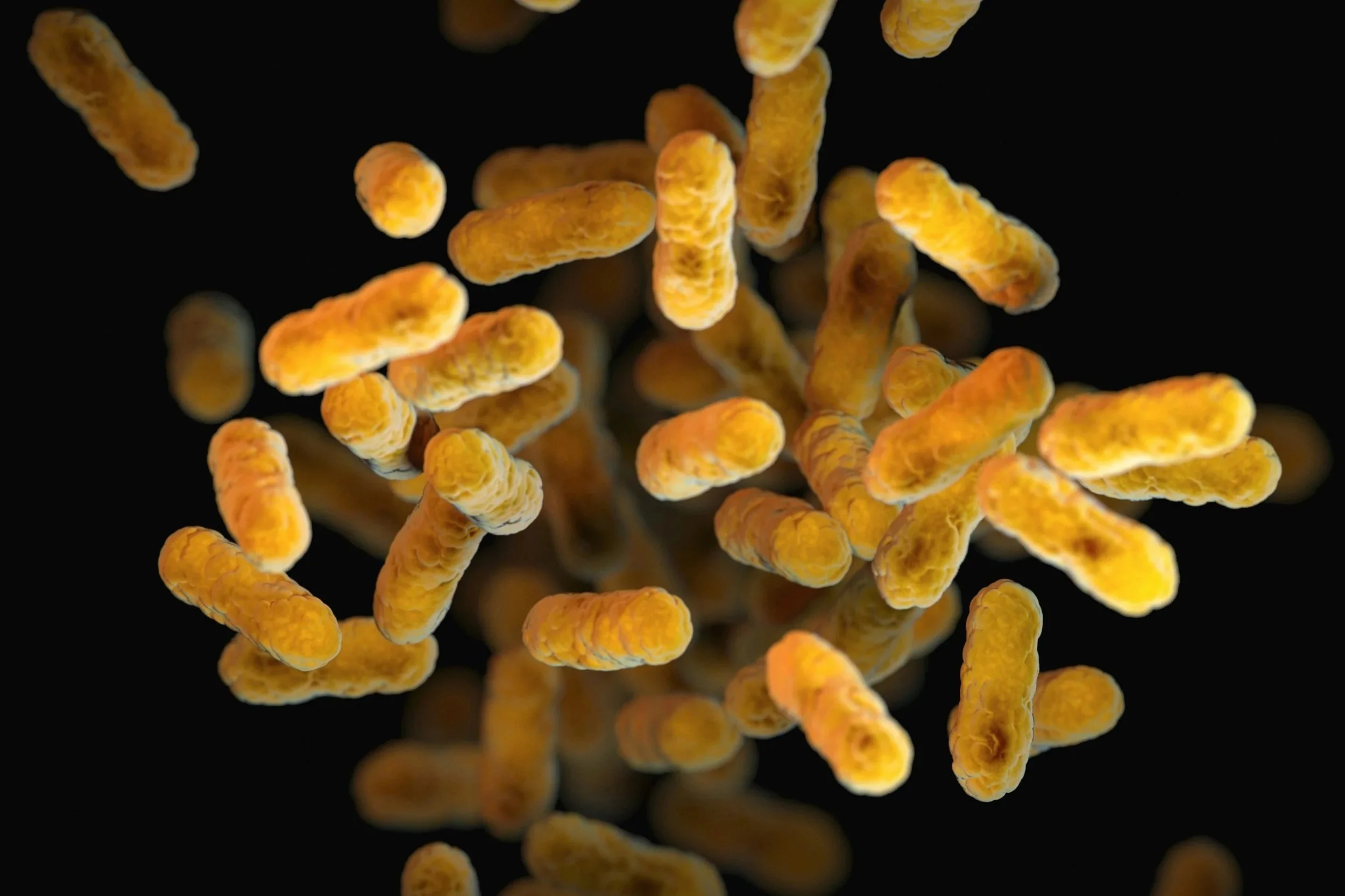 Top Probiotic Supplements of 2026: A Science-Backed Review