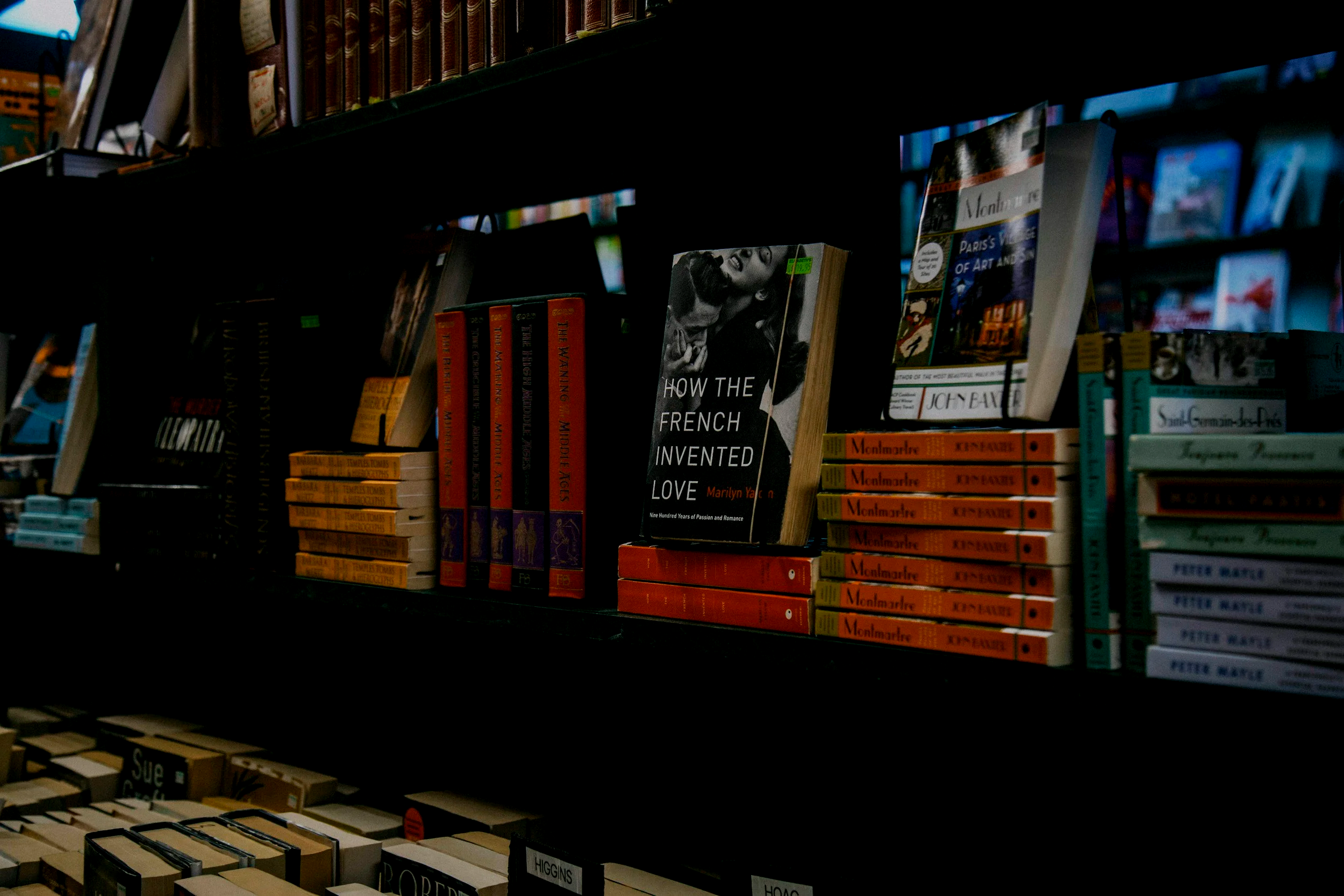 Books and guides on a bookstore shelf with various colors and titles.