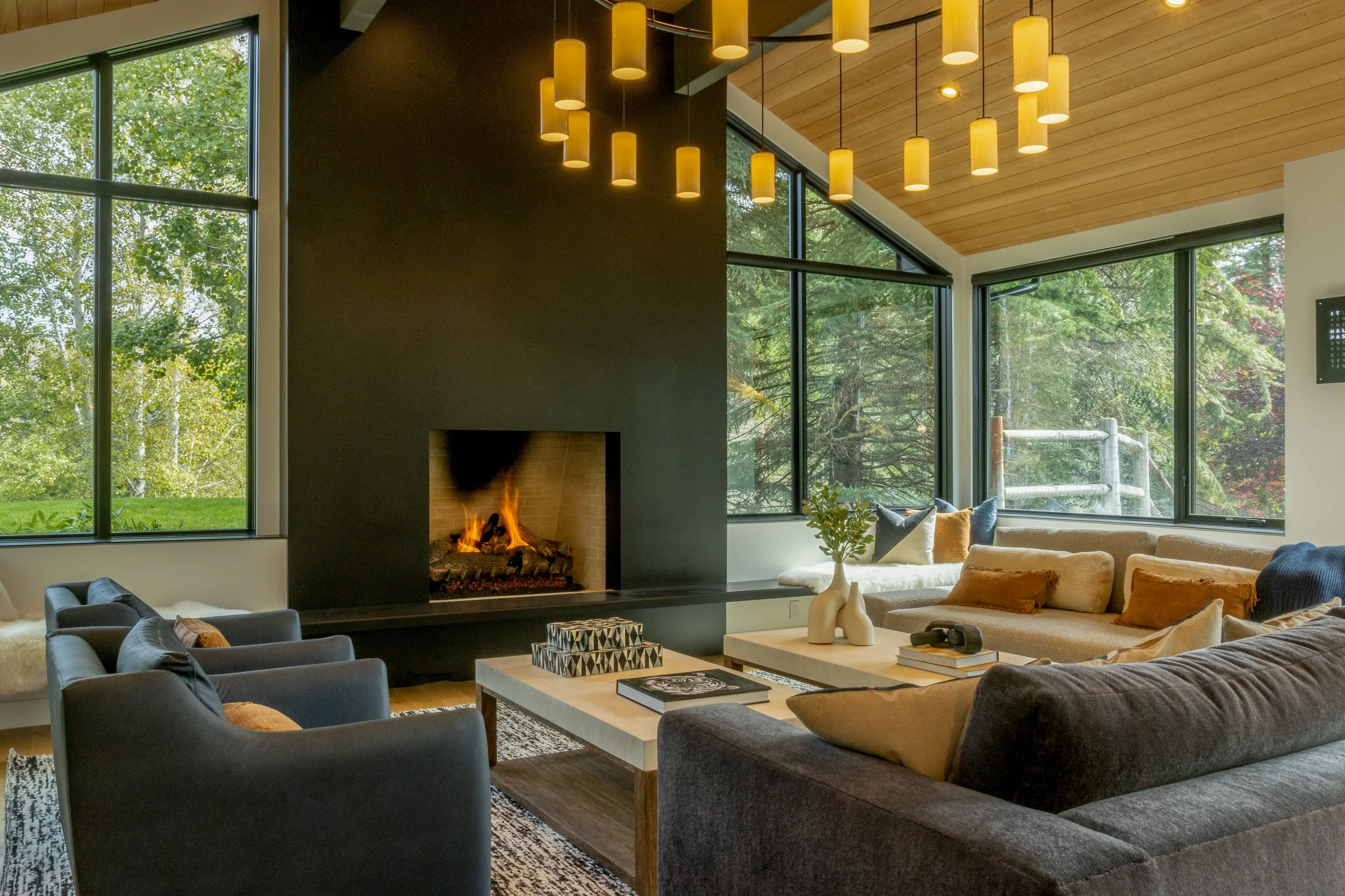 EllisID Camas01.jpeg