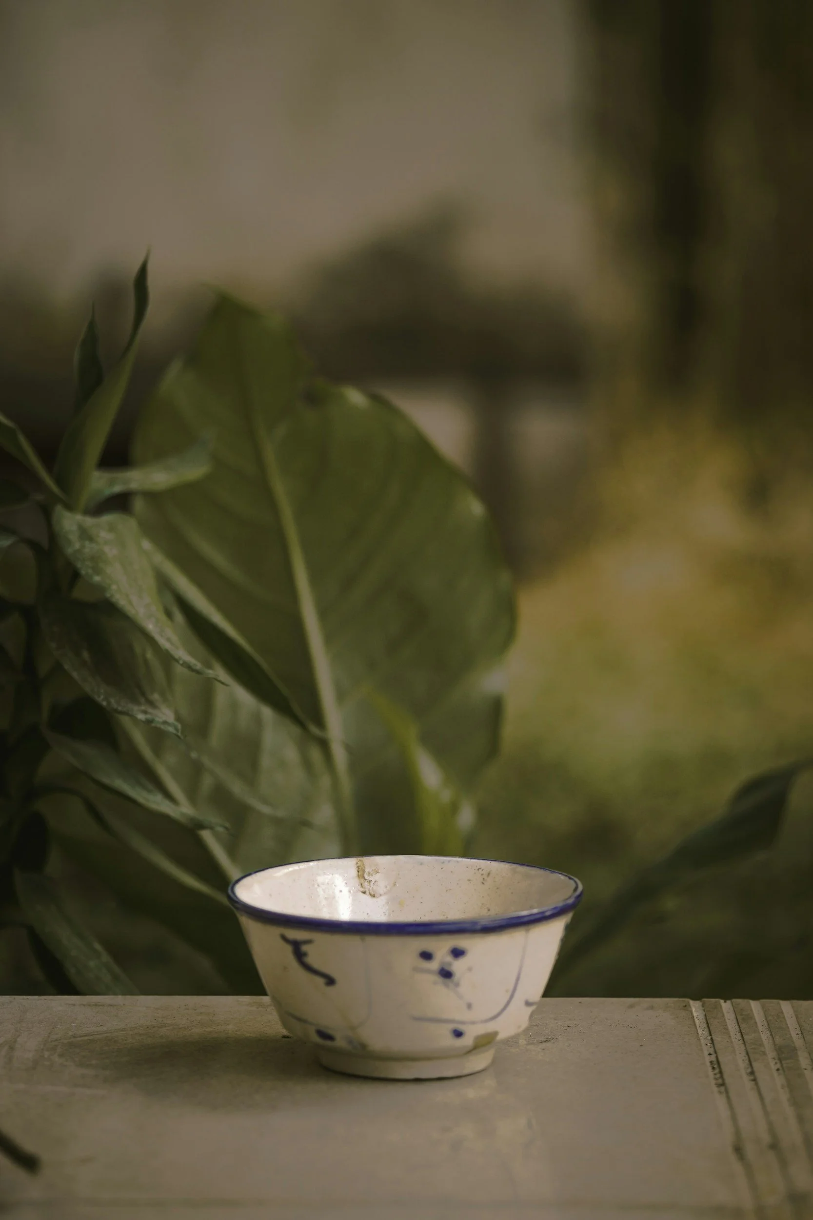 Cup of tea beside indoor plants symbolizing a peaceful, supportive, and healing home environment.