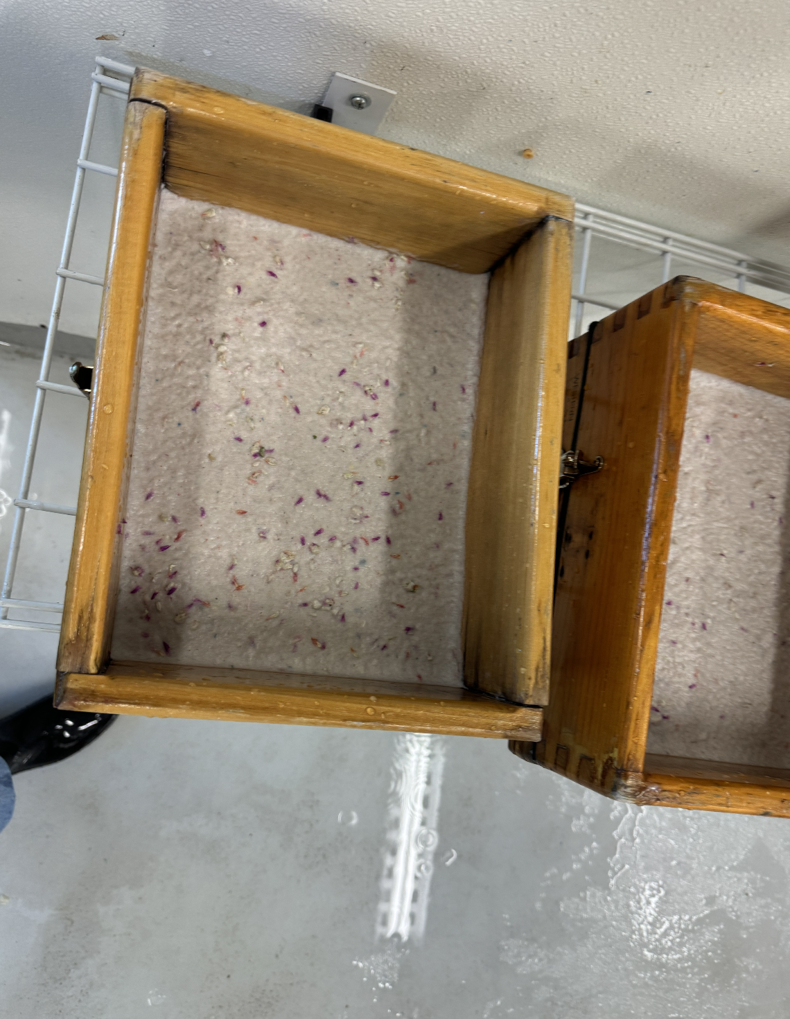 Screenshot 2026-03-03 at 2.58.06 PM.png