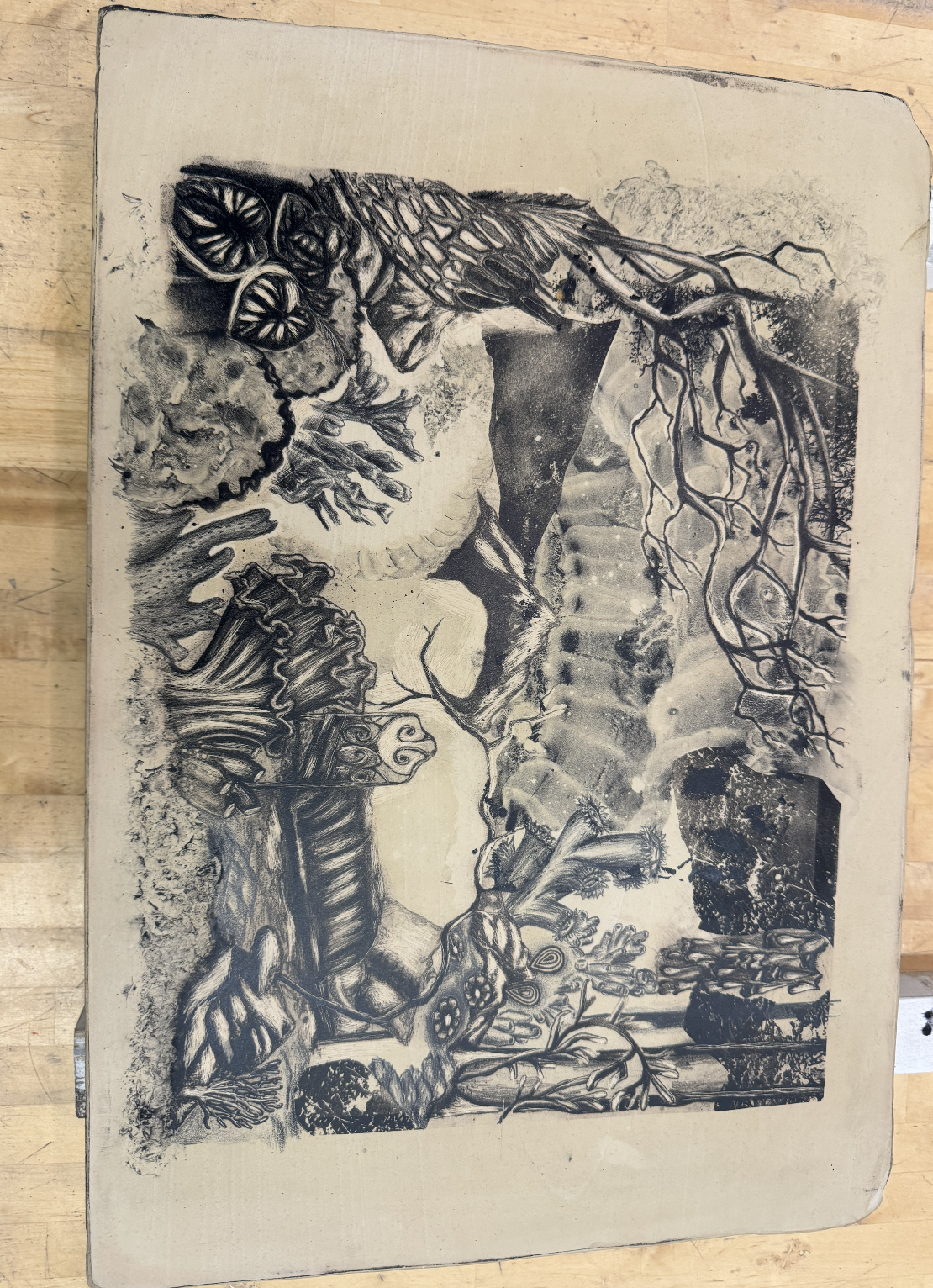 Screenshot 2026-03-03 at 3.15.58 PM.png