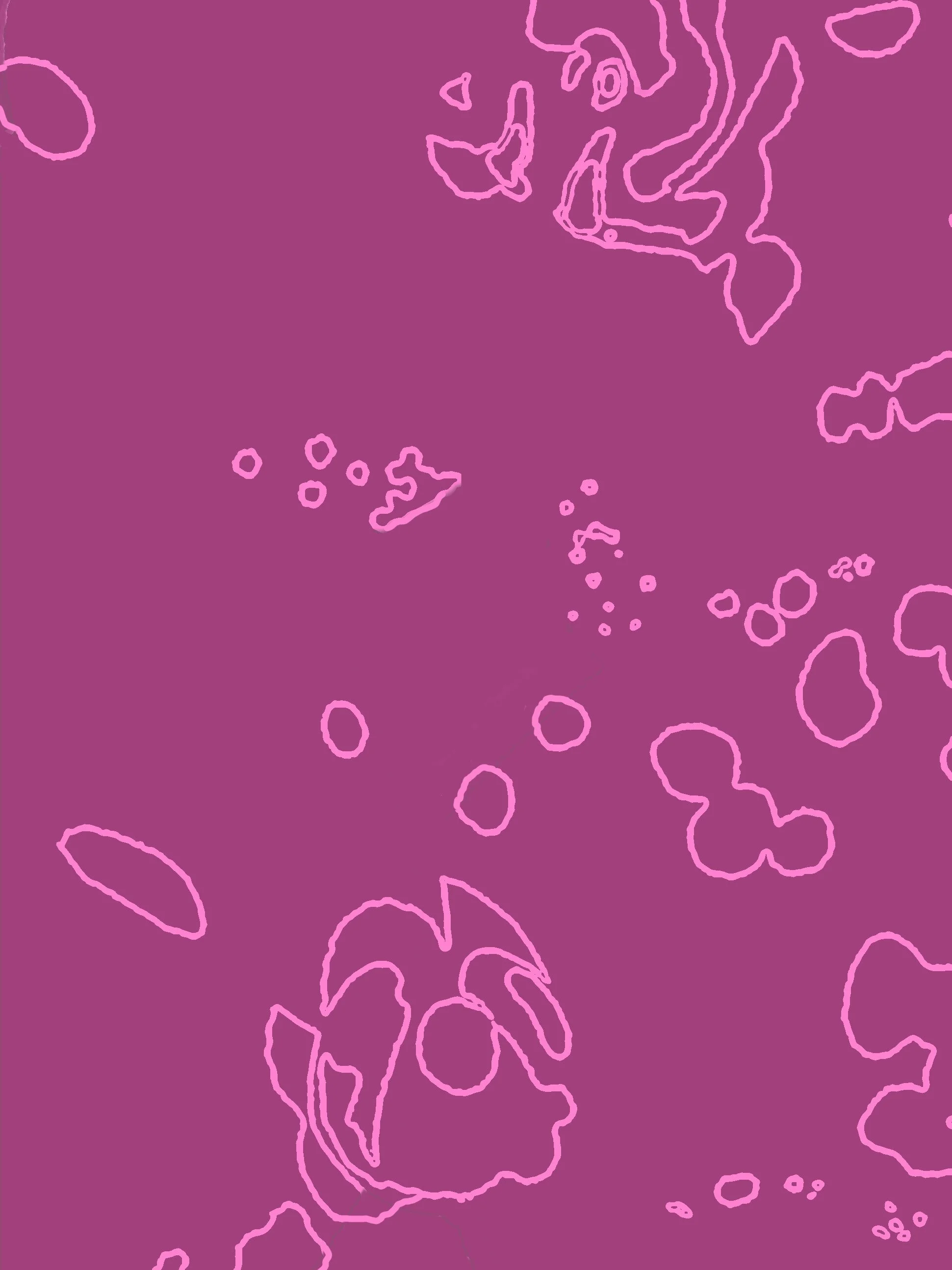 orchic planner inside.jpg