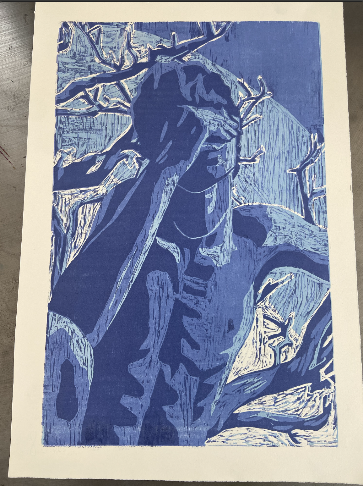 Screenshot 2026-03-03 at 3.13.42 PM.png