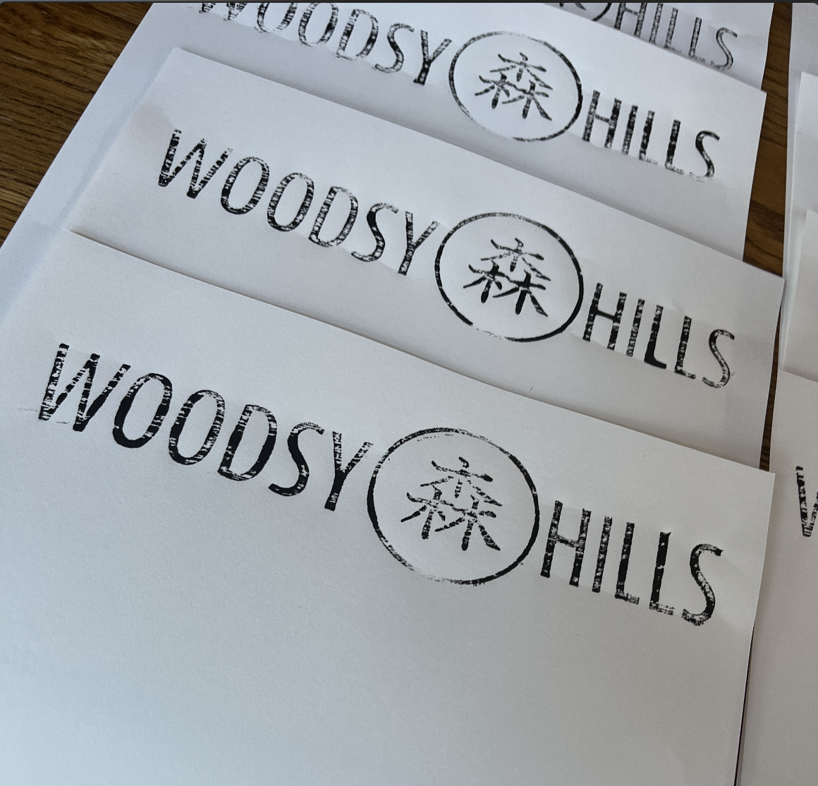 Screenshot 2026-03-03 at 3.29.28 PM.png