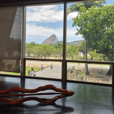View from MAM - Museum of modern Art.png