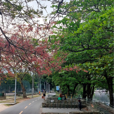 Lagoa Rodrigo de Freitas.png