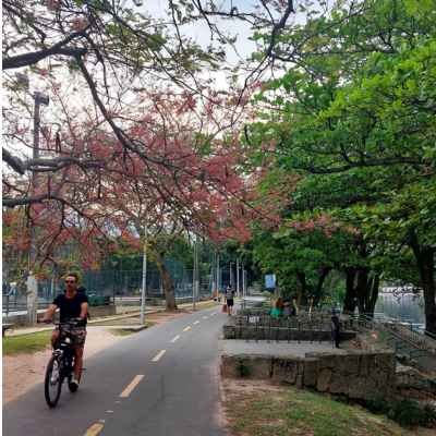 Spring flowers at Rio de Janeiro.jpg