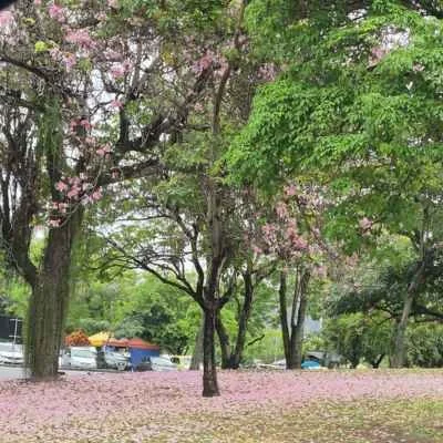 Flamengo Park, Rio de janeiro, during spring.jpg