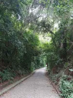 trail-up-to-forte-do-leme.jpg