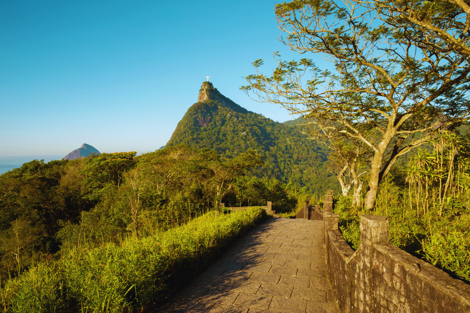 Floresta da Tijuca.png