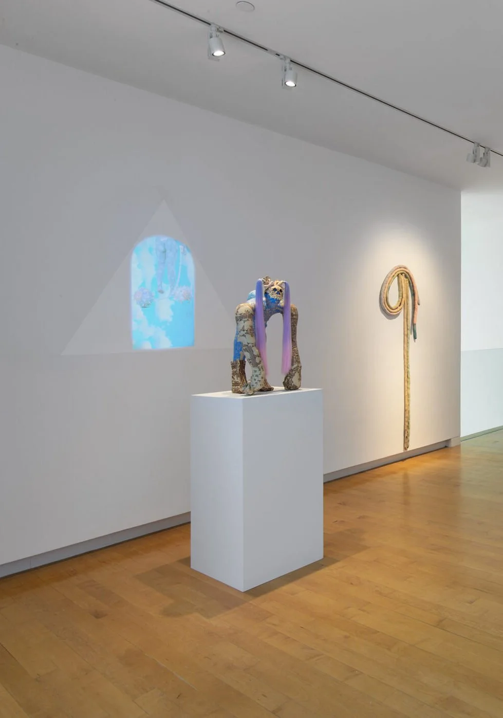 Installation view of The Girl Has Teeth in the 52 Artists exhibition at The Aldrich Museum for Contemporary Art