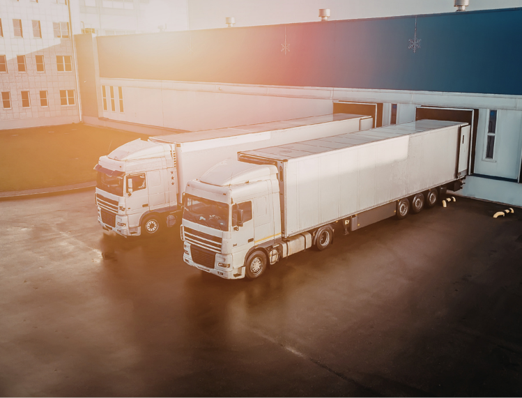 VAT &amp; Economic Reality