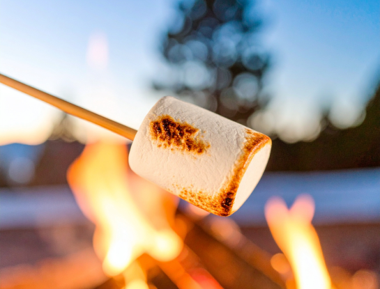 VAT Food Nuance! (April 2026)