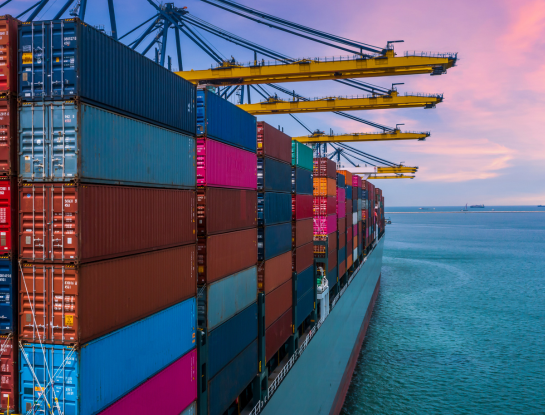 VAT &amp; Export Fraud