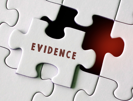 VAT &amp; Expert Evidence