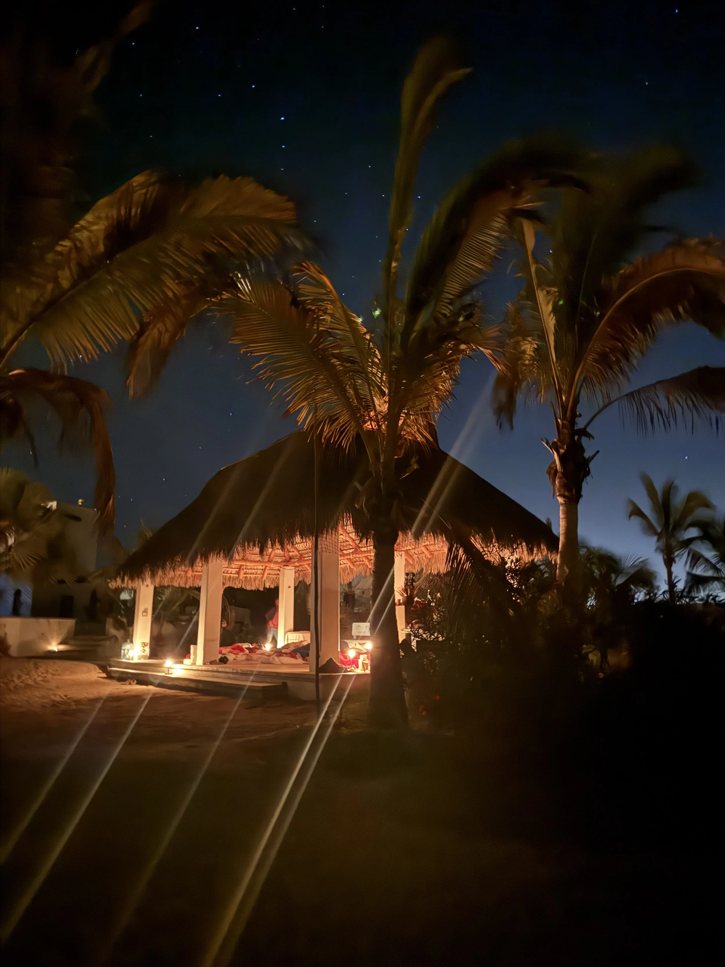 Nighttime scene at a tropical beach with palm trees and a thatched-roof hut illuminated by warm lights under a starry sky.