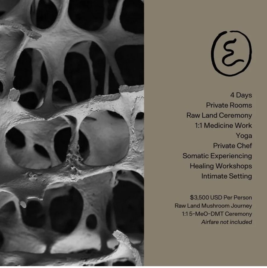 Close-up black and white photo of mushroom tissue with holes and cellular structure, alongside text about a raw land mushroom journey and healing workshops.