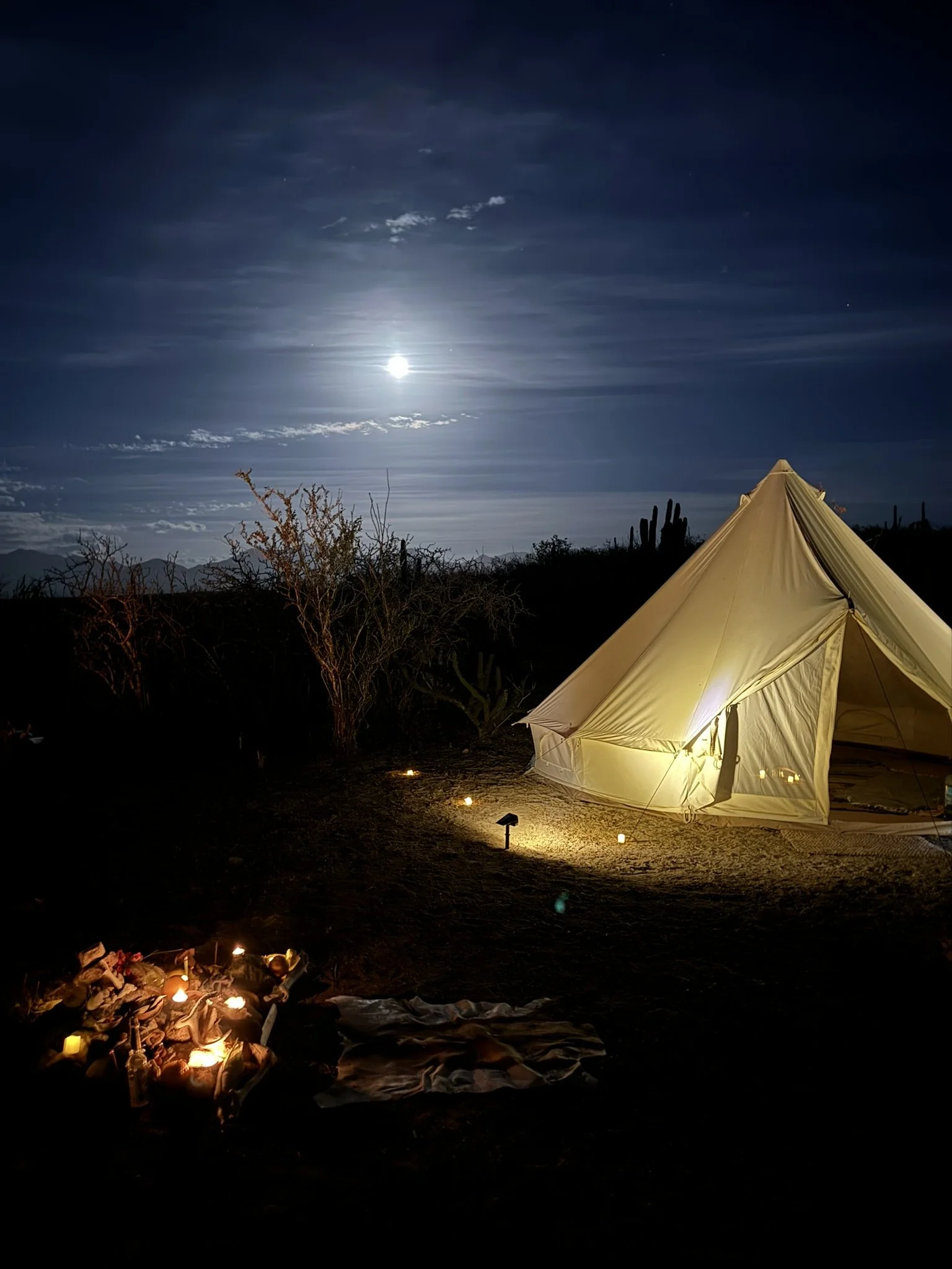 A night scene of a desert campsite illuminated by a moonlit sky. There is a beige tent, small candles or lanterns on the ground, and desert plants like cacti in the background.