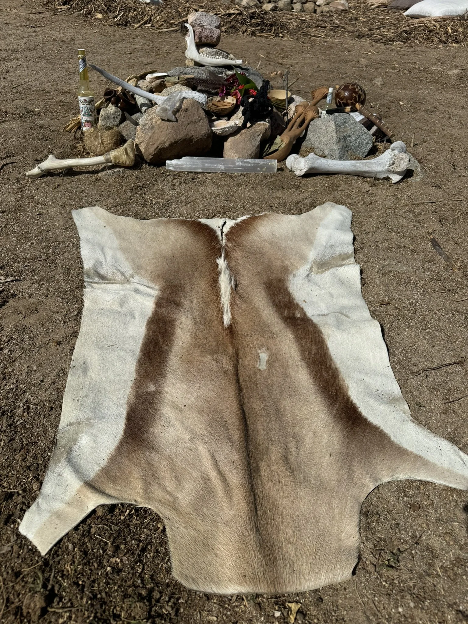 A cowhide rug on the ground in front of a shrine made of rocks, bones, and various spiritual objects.